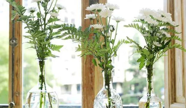 Jarrones bien combinados