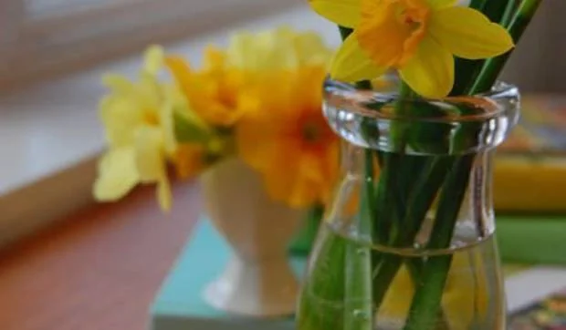 Jarrones con flores de febrero