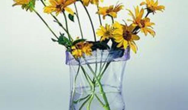 Jarrones de plástico moldeables