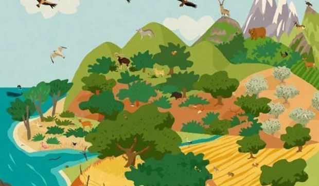 La aplicación Animal Habitats enseña a los niños a conocer 200 animales