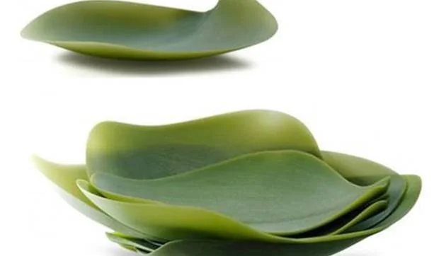 La vajilla más natural