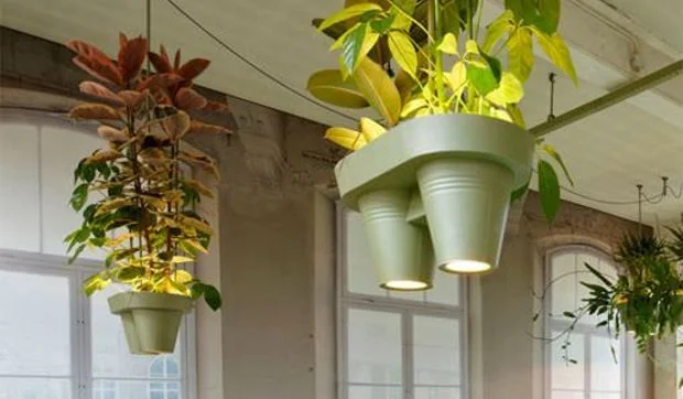 Lámpara de techo con macetas colgantes