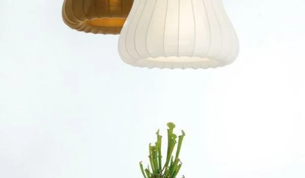 Lámparas de techo vestidas 