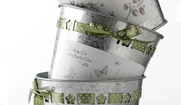 Las macetas de zinc están de moda