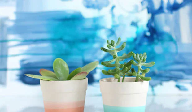 Macetas coloreadas en tonos frescos 