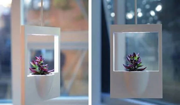 Macetas en homenaje a la Polaroid