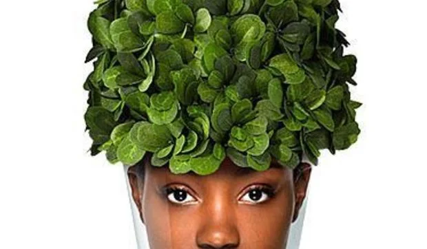 Macetas personalizadas con fotos