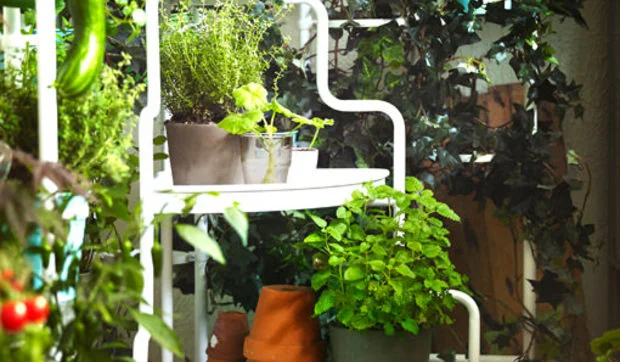 Macetas y soportes para tus plantas