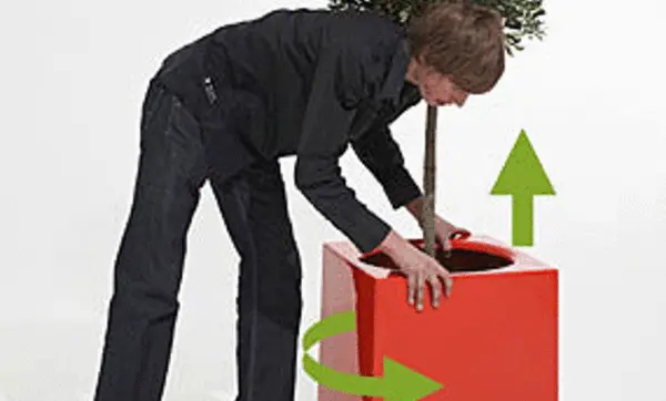 Maceteros con ruedas