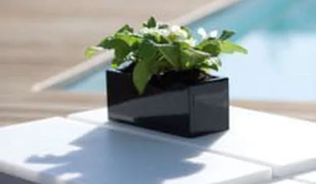 Maceteros miniatura para realzar espacios reducidos