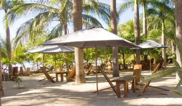 Momentos gloriosos de Decoratrix