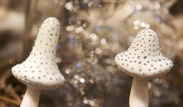 Navidad inspirada en la Naturaleza