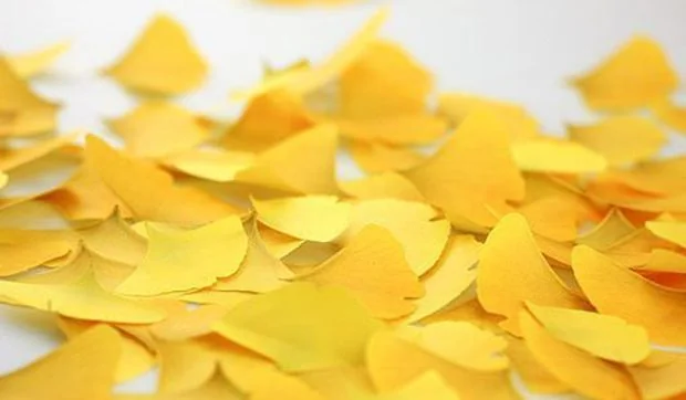 Notas adhesivas inspiradas en la naturaleza