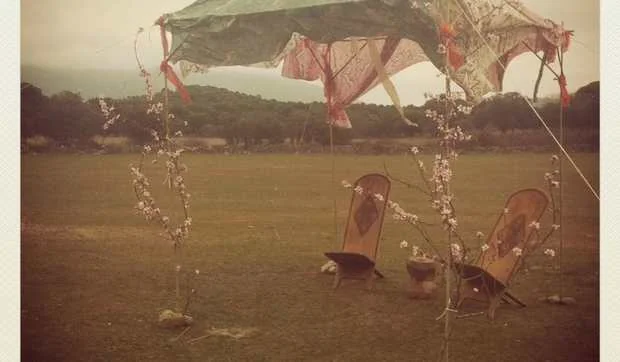 Paisajismo efímero para fiestas y eventos