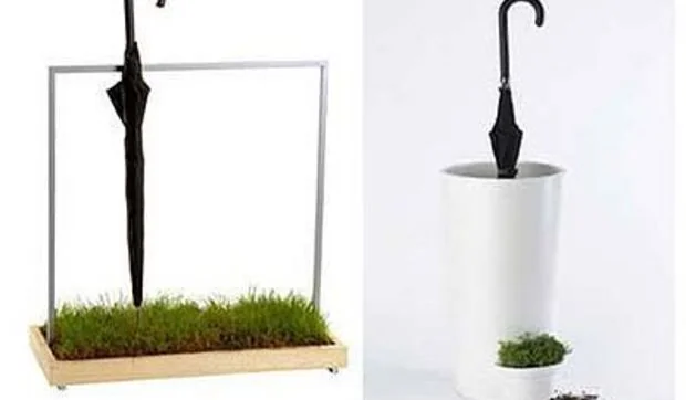 Paragüeros ecológicos