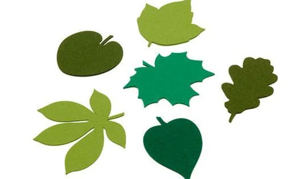 Posavasos y salvamanteles de fieltro