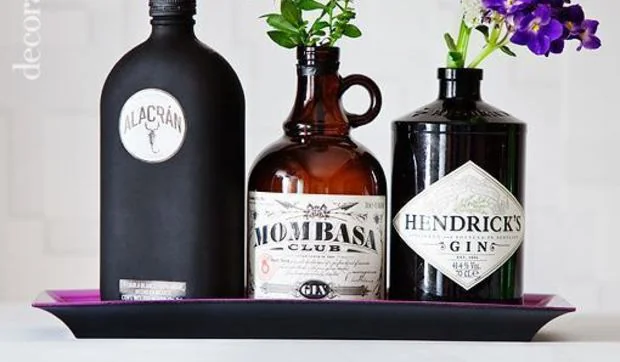 Cómo reciclar botellas de ginebra en un 'Trix'