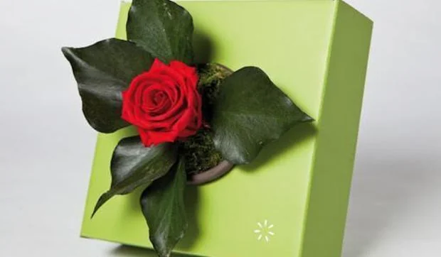 Regala una rosa sin fecha de caducidad