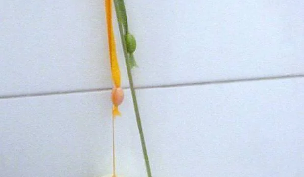 Sencillos detalles con encanto