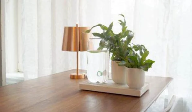 Cuida tus plantas cómodamente con los sistemas de auto riego Pikaplant