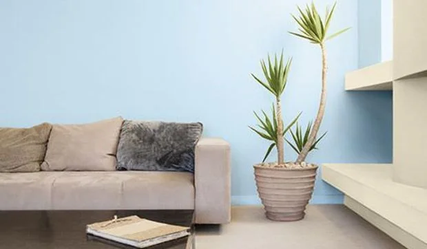 Sorteo de 80 m cuadrados de pintura Valentine