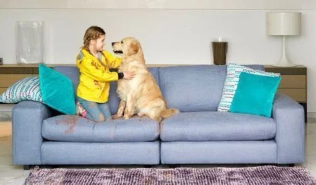 Tapicerías antimanchas con tecnología Aquaclean