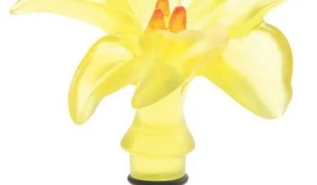 Tapones para las botellas