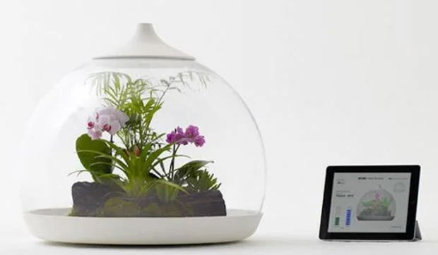 Terrario floral controlado desde el teléfono