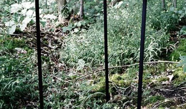 Una casita de diseño para pájaros