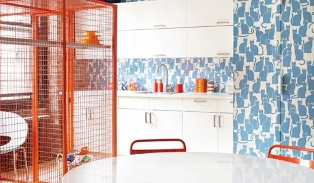 Una guardería para gatos en adopción