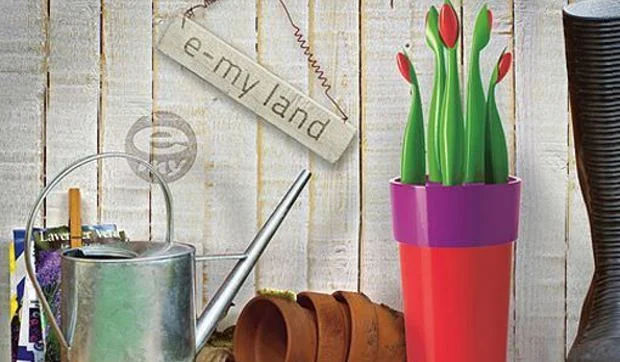 Una maceta con flores para cortar