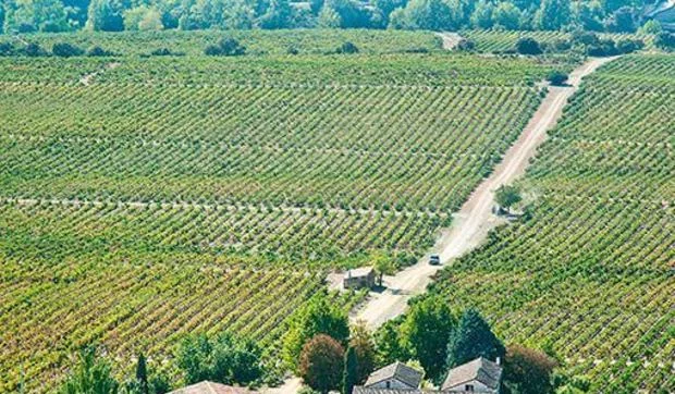 Viña Real Experience, el placer de los sentidos