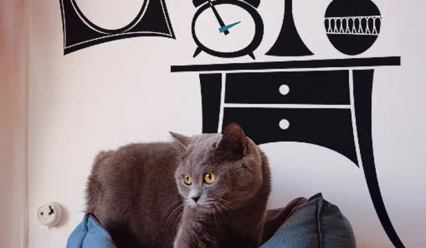 Vinilos divertidos (II parte)