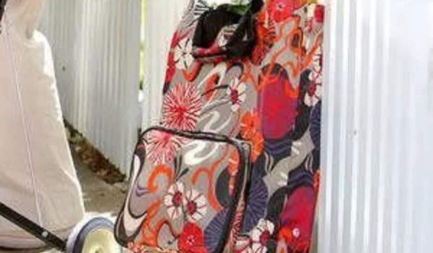 Vuelve el carro de la compra