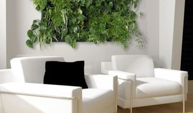 WallNatura, un jardín en la pared